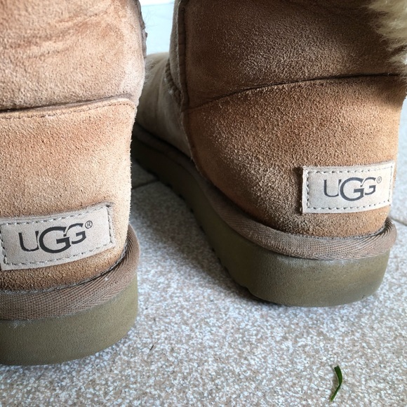 Ugg bailey short - Picture 5 of 7